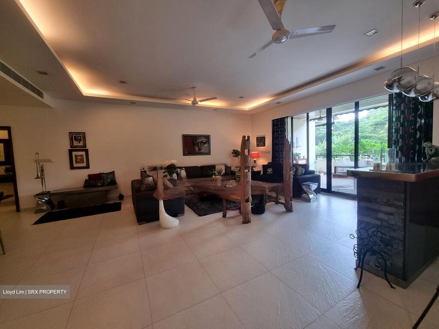 The Arcadia (D11), Condominium #467234831